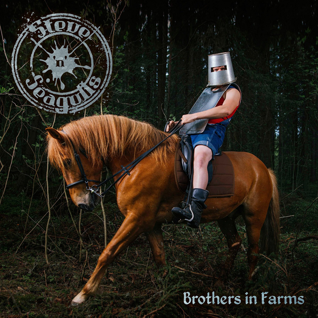 Steve'n'Seagulls / Brothers In Farms