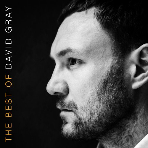 David Gray / The Best Of David Gray