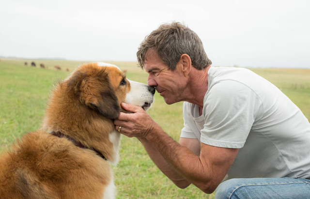 A Dog's Purpose