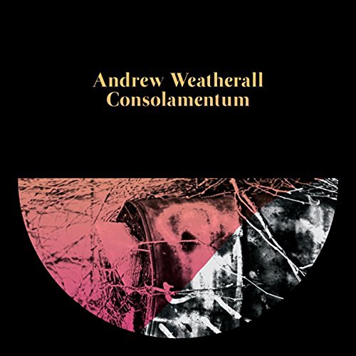 Andrew Weatherall / Consolamentum