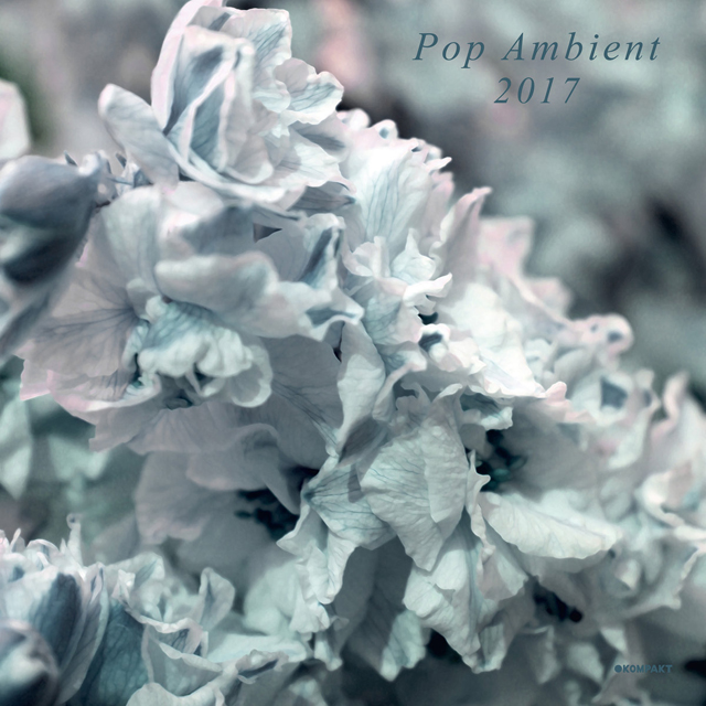 VA / Pop Ambient 2017