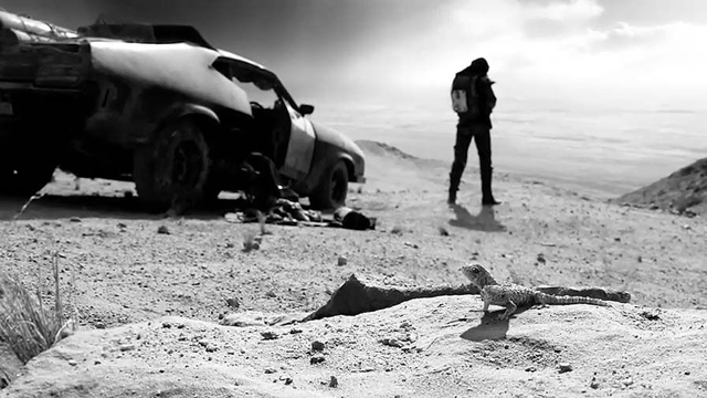 Mad Max Fury Road: Black and Chrome Edition