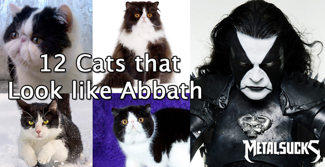 12 Cats That Look Like Abbath - MetalSucks