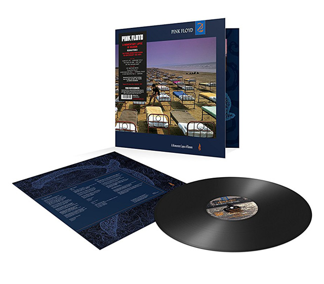 Pink Floyd / A Momentary Lapse of Reason [180g LP]