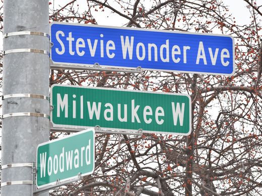 Stevie Wonder Avenue