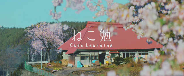 ねこ勉〜Cats Learning〜