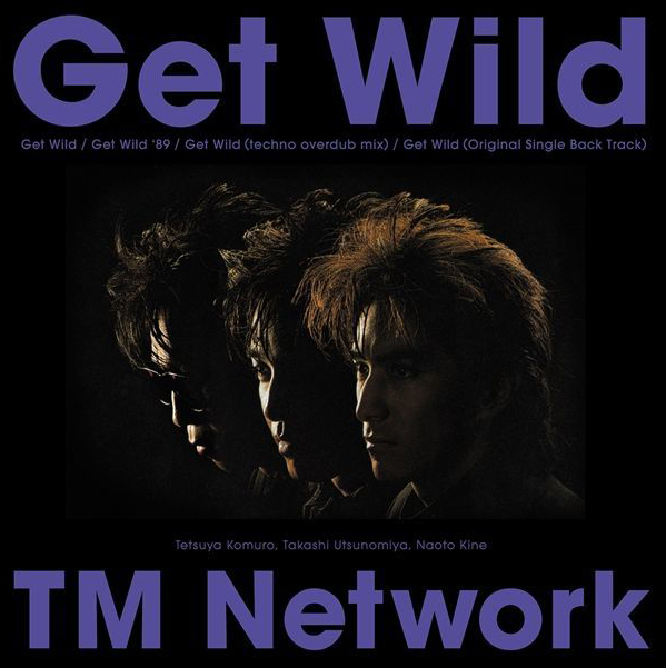 TM NETWORK / Get Wild【アナログ12インチ】