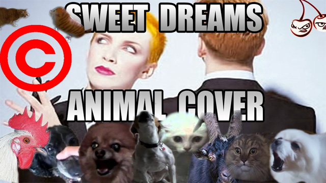 Eurythmics - Sweet Dreams (Animal Cover) - Insane Cherry