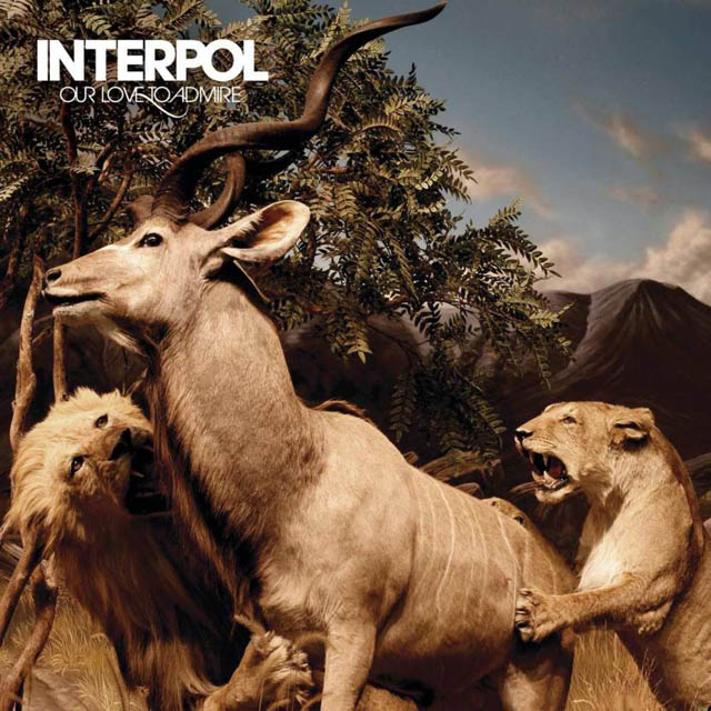Interpol / Our Love to Admire