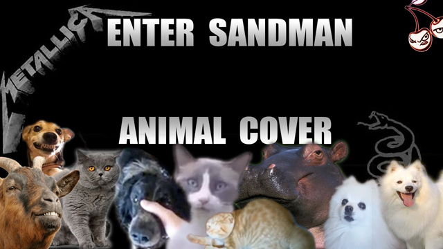 Metallica - Enter Sandman (Animal Cover) - Insane Cherry