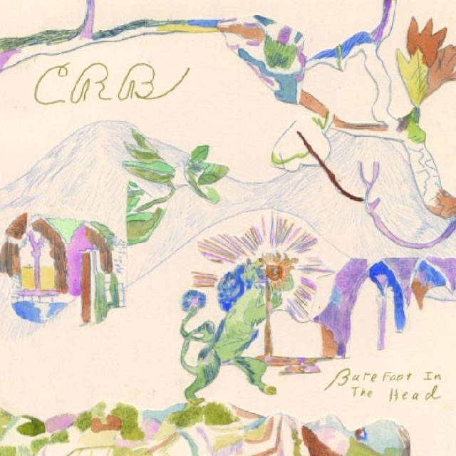 Chris Robinson Brotherhood /  Barefoot in the Head