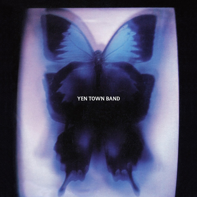 YEN TOWN BAND / Swallowtail Butterfly〜あいのうた〜7inch analog record single