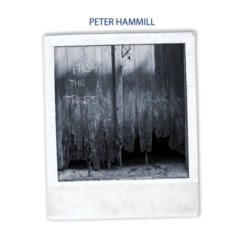 Peter Hammill / From The Trees