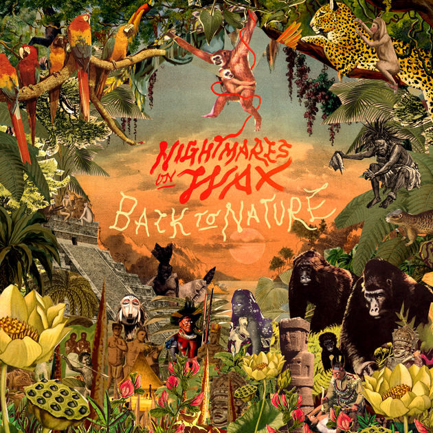 Nightmares on Wax / Back to Nature - Single