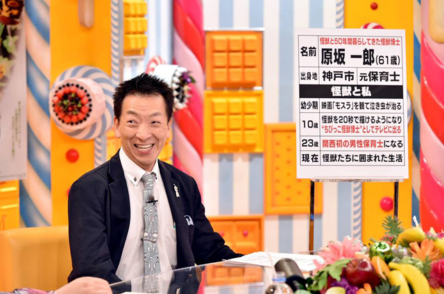 TBS『マツコの知らない世界 「良い子が育つ怪獣の世界」』(c)TBS