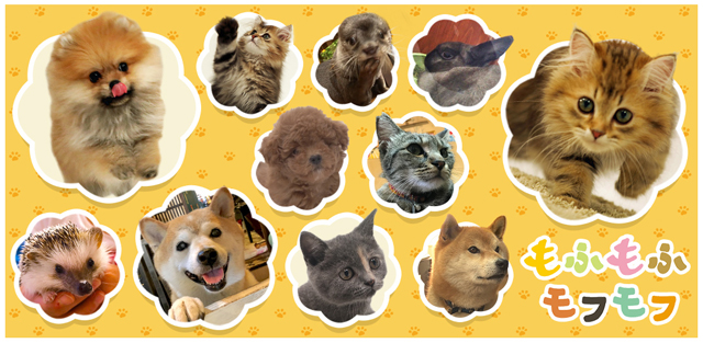 NHK『もふもふモフモフ』(c)NHK