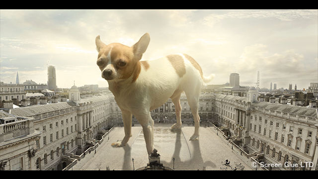 NHK『地球ドラマチック「大きさのヒミツ〜もし世界が巨大化したら？〜」』