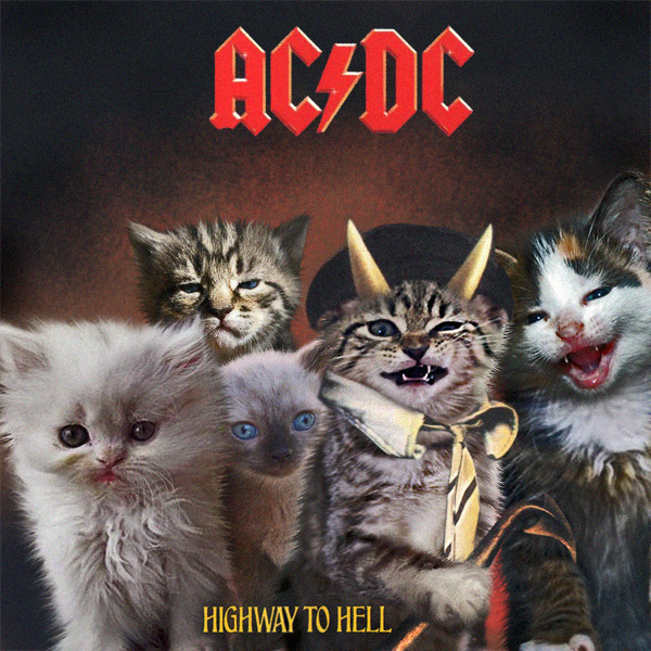 The Kitten Covers - AC/DC / Highway to Hell