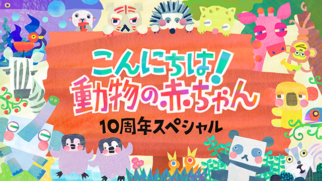 NHK『こんにちは！動物の赤ちゃん　10周年スペシャル』(c)NHK