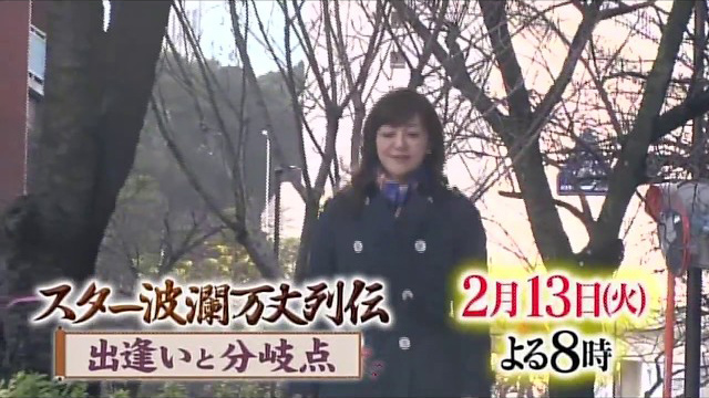 BS日テレ『スター波瀾万丈列伝〜ヒット曲に隠された壮絶人生〜歌手：岩崎宏美』