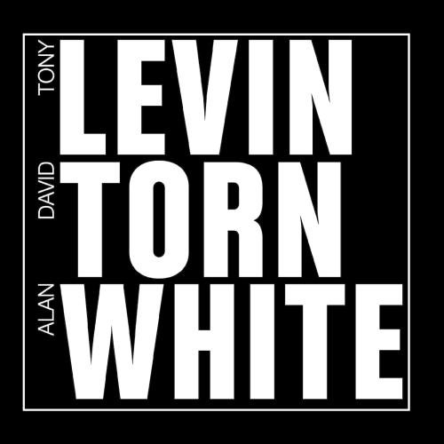 Levin Torn White / Levin Torn White