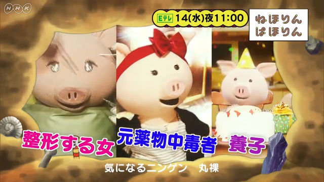 NHK『ねほりんぱほりん　その後を知りたいリクエストSP』(c)NHK