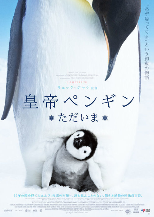 皇帝ペンギン ただいま (C) BONNE PIOCHE CINEMA-PAPRIKA FILMS-2016 - Photo :(C) Daisy Gilardini
