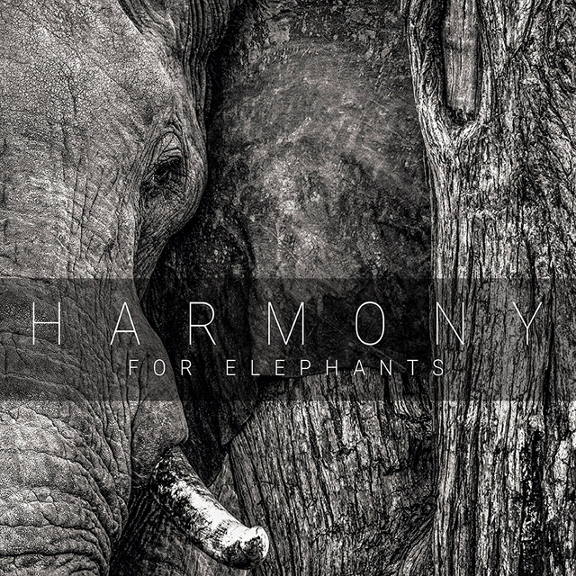 VA / Harmony for Elephants