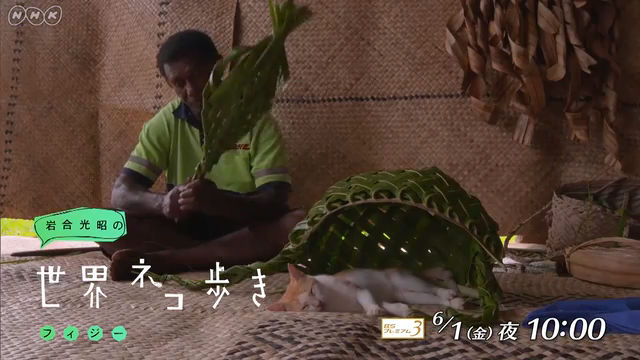 NHK『岩合光昭の世界ネコ歩き「フィジー」』