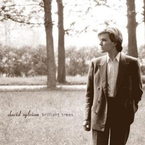 David Sylvian / Brilliant Trees