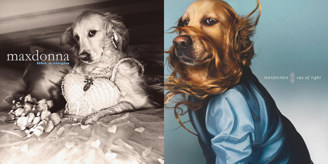 MAXDONNA - Photo by Vincent Flouret