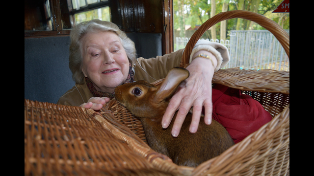 NHK『ドキュランドへ　ようこそ！「ピーターラビット　生みの親を訪ねて」』