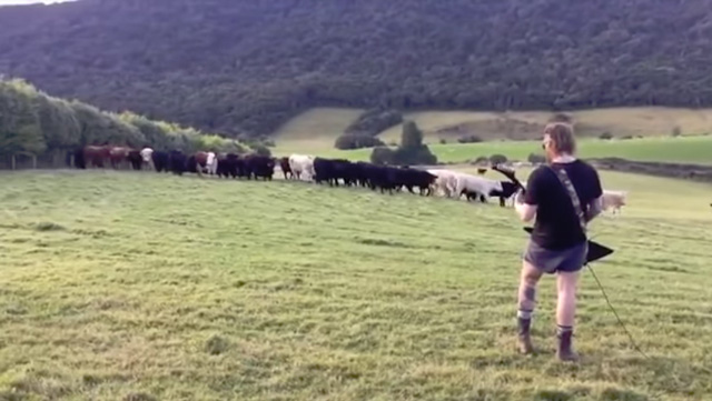 A Herd of Cows React to Doom Metal Riffs