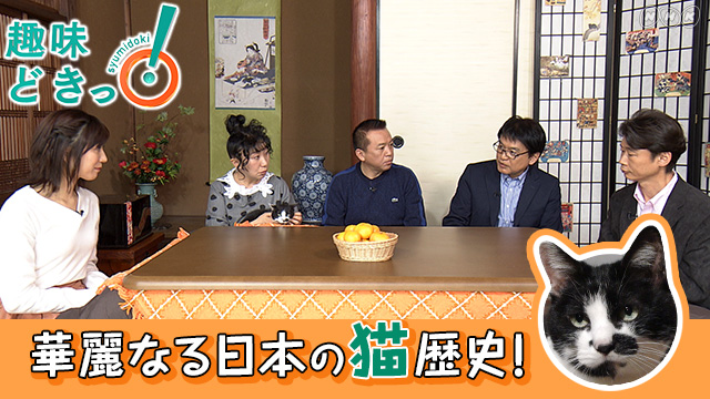 NHK『趣味どきっ！「不思議な猫世界」』(c)NHK