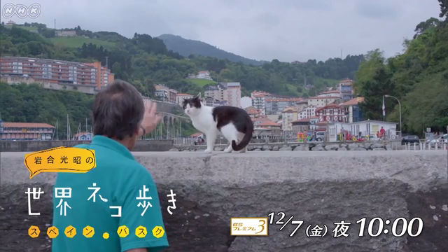 NHK『岩合光昭の世界ネコ歩き「スペイン・バスク」』