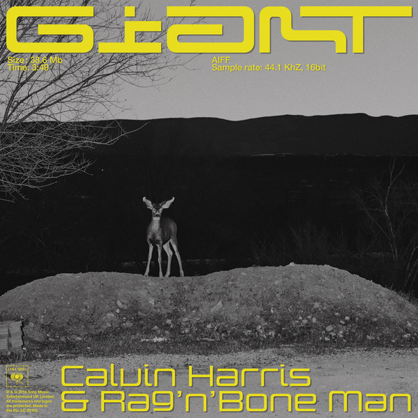 Calvin Harris, Rag'n'Bone Man / Giant - Single