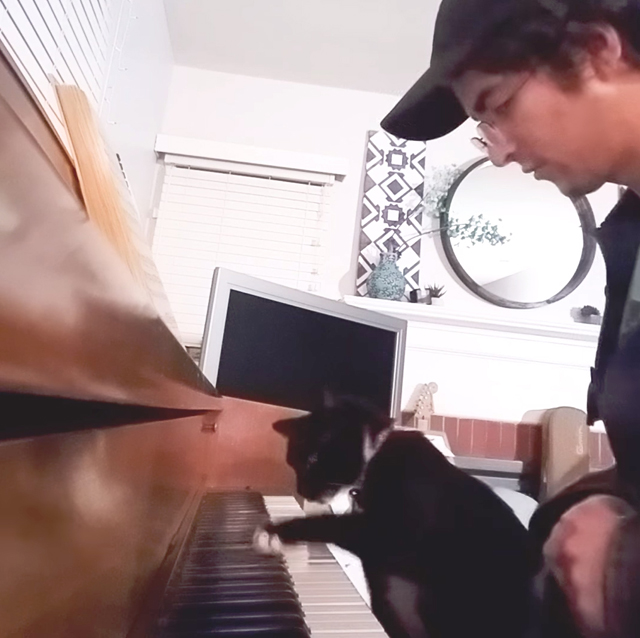 cat and owner musical duet