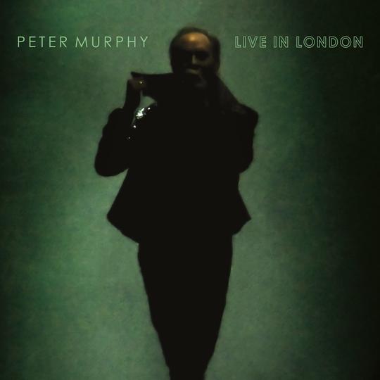 Peter Murphy / Live In London