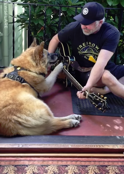 Dog Plays Guitar With Owner