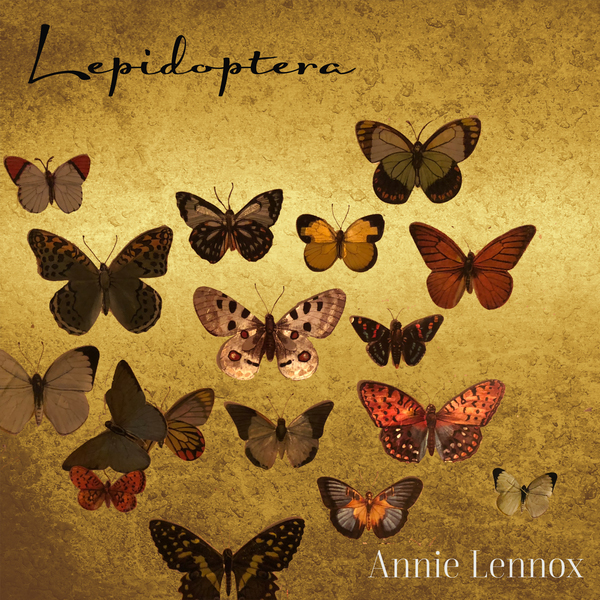 Annie Lennox / Lepidoptera