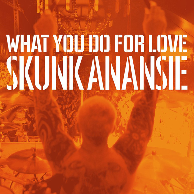 Skunk Anansie / What You Do For Love