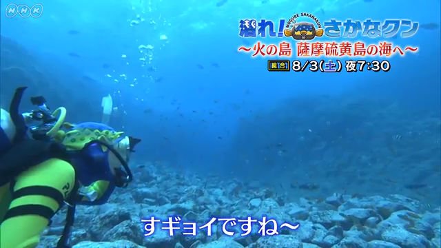 さかなクンがまだ見ぬ海を潜りまくって探検するnhk 潜れ さかなクン 新作は 火の島 薩摩硫黄島の海へ Amass