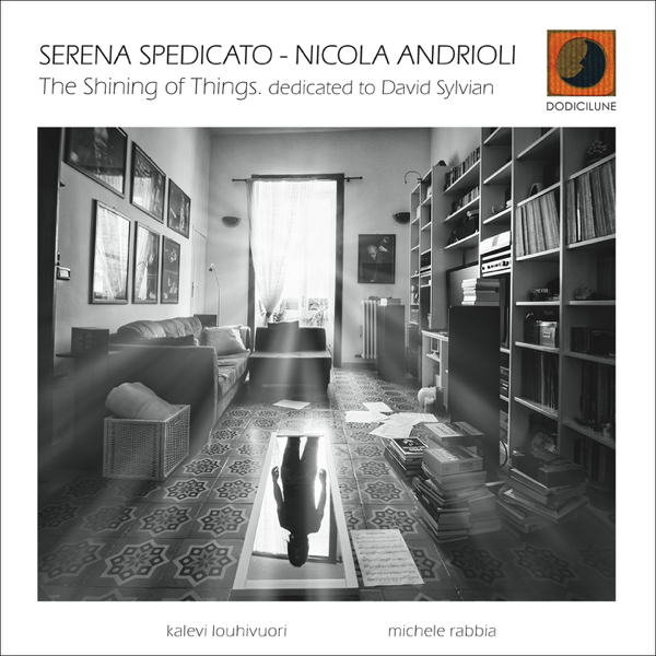 Serena Spedicato / Nicola Andrioli / Shining Of Things (Dedicated To David Sylvian)