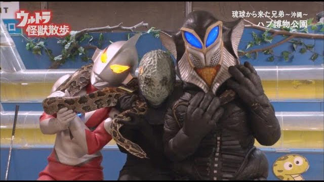 ウルトラ怪獣散歩「琉球からきた兄弟 〜沖縄〜」(c)円谷プロ