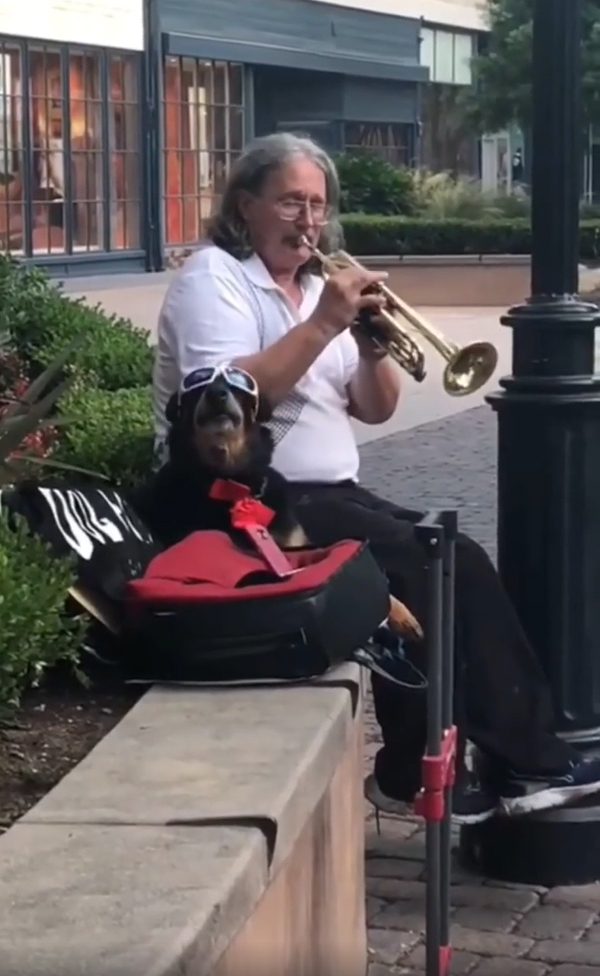 trumpet player and dog