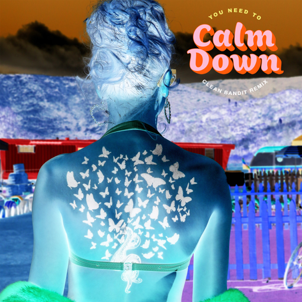 Taylor Swift / You Need To Calm Down (Clean Bandit Remix)