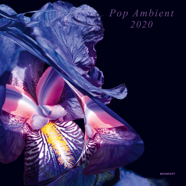 VA / Pop Ambient 2020