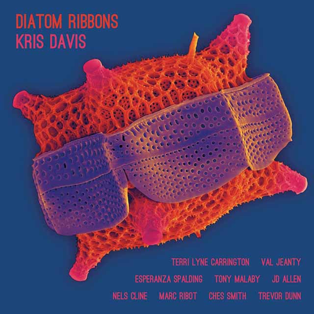 Kris Davis / Diatom Ribbons