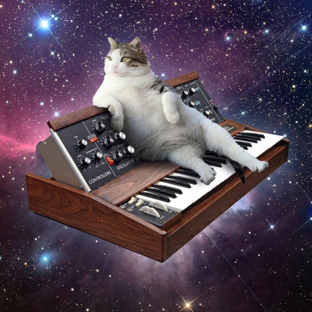 猫＋シンセサイザー＋宇宙 写真特集「Cats On Synthesizers In Space」が話題に - amass