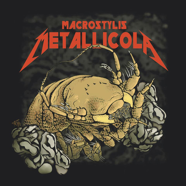 Macrostylis metallicola